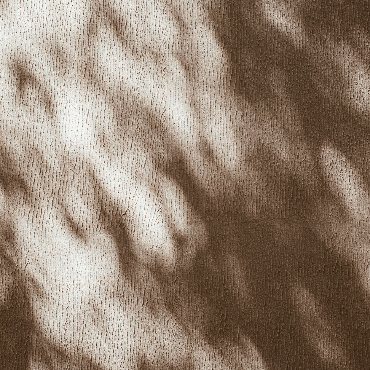 Shadow of Leaves on the Wall 